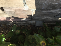 9/11/2019
Location of DownSpout Filter